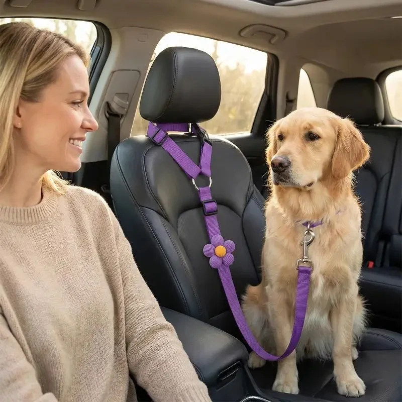 Golden retriever i opiekunka przy przednim fotelu