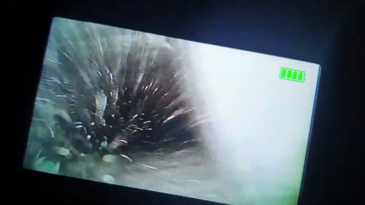 Reel 1